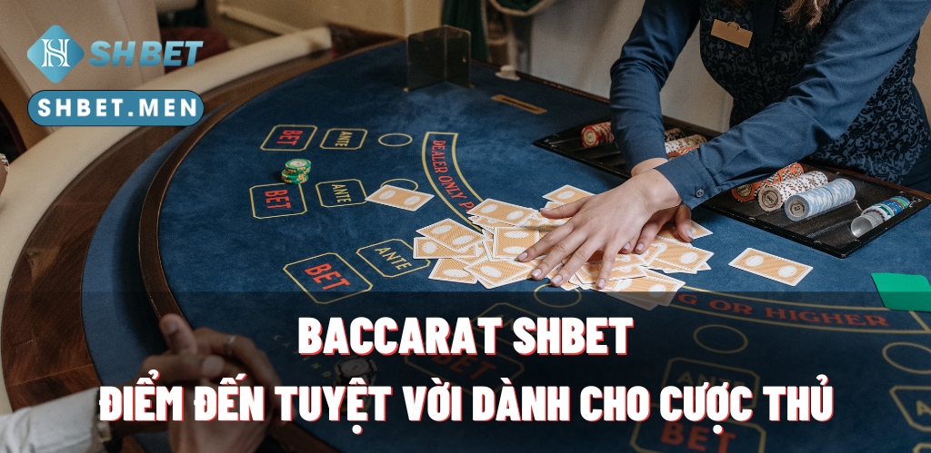 Baccarat SHBET - Điểm Đến Tuyệt Vời Dành Cho Cược Thủ